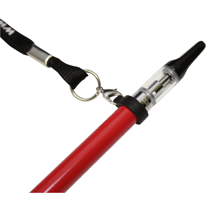 lanyard4 2