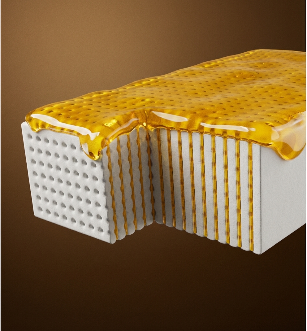 fusion structure detail