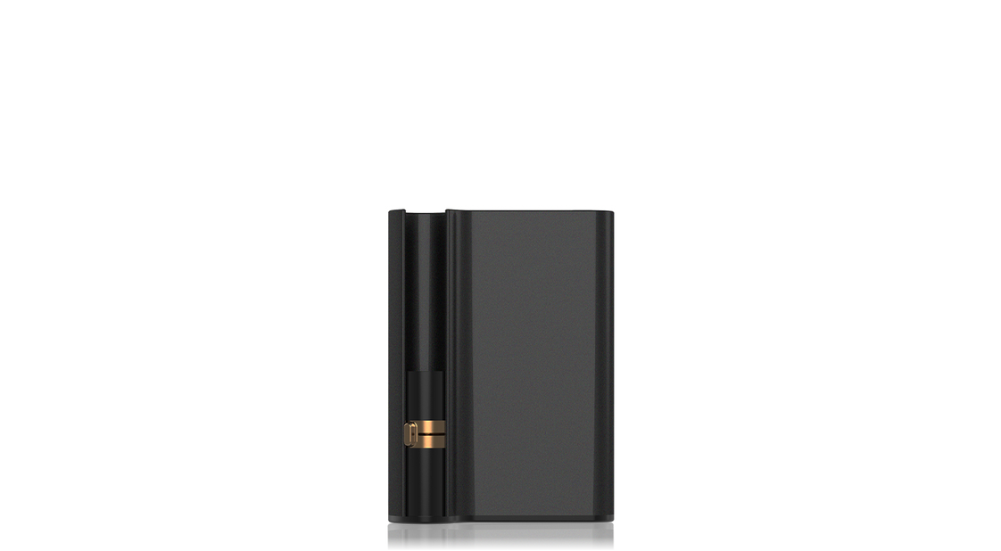 Palm Pro